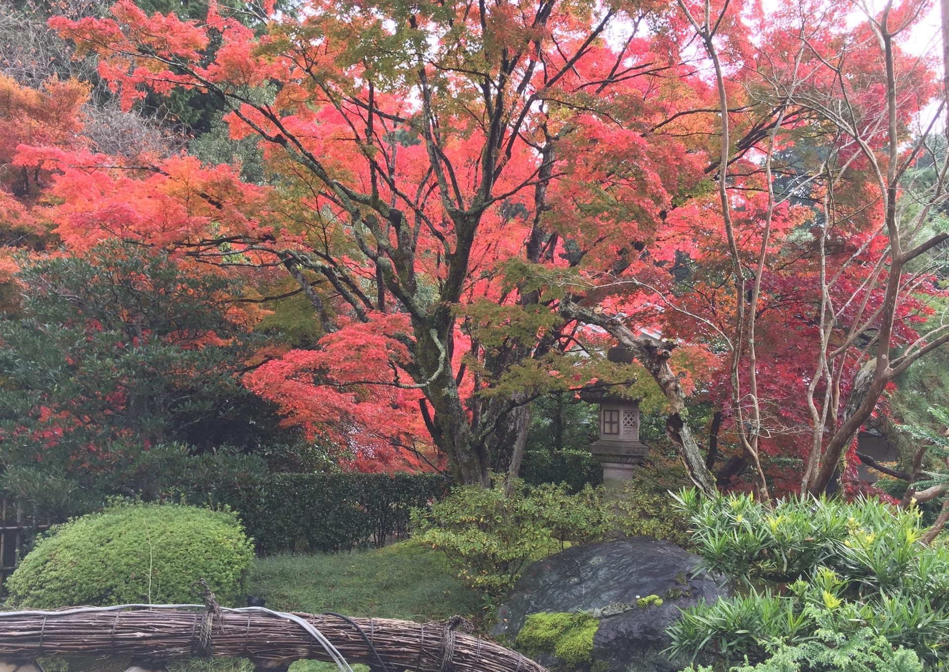 京都の静かな里山・高雄で、季節を感じながらいただくひととき