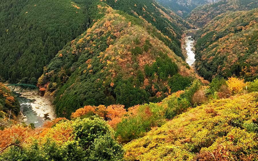 自然の風景を楽しめる