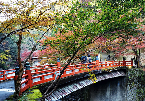 自然の風景を楽しめる